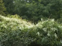 BILD8093.webp