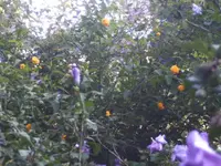 BILD8122.webp