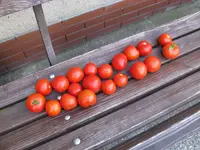 IMG_5747.webp