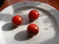 Tomis5.jpg