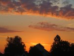 IMG_2543.jpg