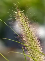 P1010971.webp