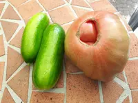 20170902_151521.webp