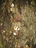 002_576x768.JPG