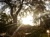 P1020035.webp