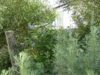P1080405.webp