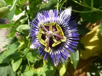 P1080420.webp