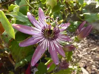 P1080443.webp