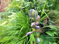 DSCF0022 (2).webp