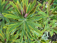 DSCF0038 (2).webp