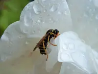 DSCF0033 (2).webp