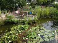 DSC02253.jpg