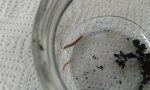 20170902_114251.jpg