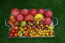 August0808a.jpg