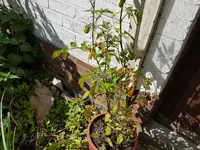 20170903_145402.webp