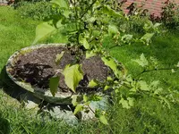 20170903_145704.webp