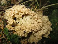 002_1024x768.webp