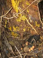 004_576x768.JPG