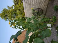 20170903_185451.webp