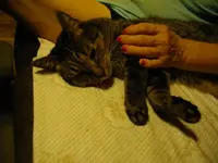 IMGP5261.webp