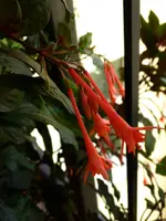 P1020740.webp