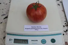 IMG_3936.jpg