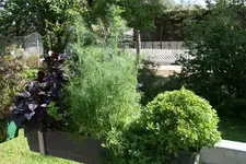 114.webp