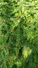 20170826-171700.webp