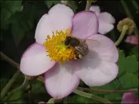 B64.webp