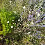 20170903_155039.jpg