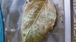 2017-09-05 08.55.17.webp