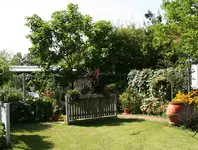 117.webp