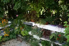 120.webp