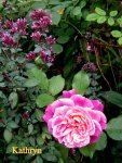 IMG_9011.JPG