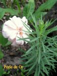 IMG_9019.JPG