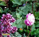 IMG_9027-001.webp