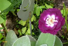 IMG_9032.webp
