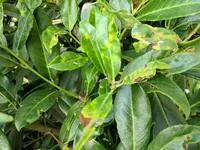 IMG_20170823_191233.webp