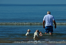 ab ins Wasser1_900.JPG