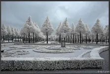 F053.webp