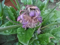 P1010870.webp