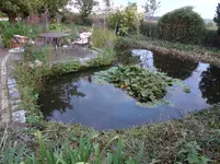 DSC02273.jpg