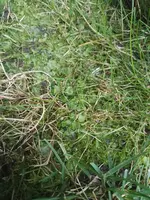 IMG_20170906_115126.jpg
