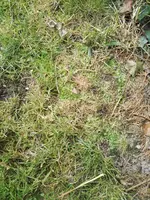 IMG_20170906_115211.jpg