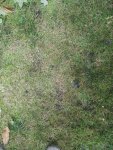 IMG_20170906_115117.jpg