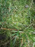 IMG_20170906_115122.jpg