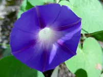 P1010583.webp