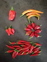 IMG_20170906_155133.webp