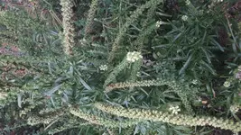 20170906_102816.webp