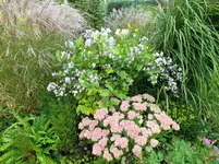 DSCF0087 (2).webp